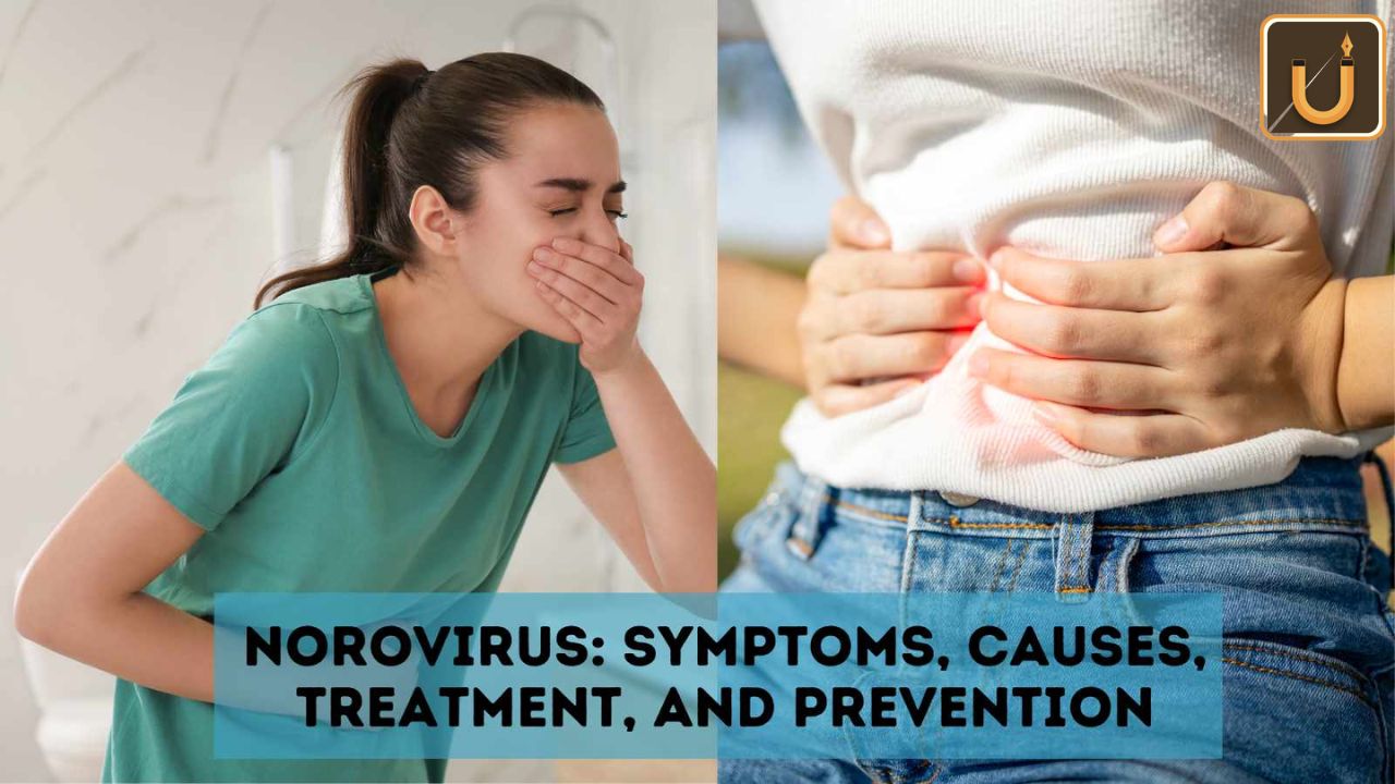 Usthadian Academy / Norovirus: Symptoms, Causes, Prevention & Treatment | 26 feb 2024 Usthadian Academy / Norovirus: Symptoms, Causes, Prevention & Treatment